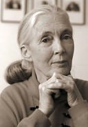 Jane Goodall Profile Picture