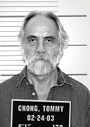 Tommy Chong Profile Picture