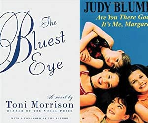 Jonathan Livingston Seagull in Happy Birthday, Dear Books! Notable Books Turning 50 This Year