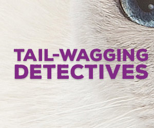 Wish You Were Here (Mrs. Murphy Book 1) in Sleuths of the Canine and Feline Persuasion