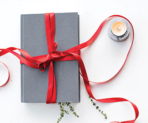 New American Bible: Revised Edition (NABRE) in How We Choose Books as Gifts