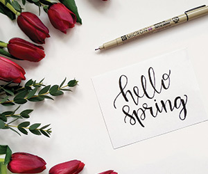 The Flight Attendant in Recent Releases to Celebrate Spring