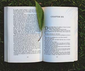 The Wind in the Willows in Ode to Spring: 10 Books to Celebrate the Season of Renewal