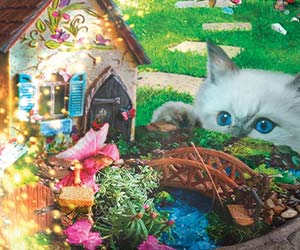 Acts of Violets in Flora and Forensics