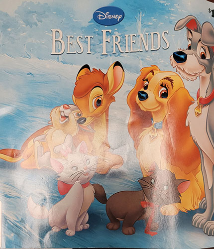 Perfect Paperback Disney Best Friends Book