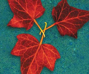 Strange Case of Dr Jekyll and Mr Hyde in Autumn Vibes: 12 Moody Novels for Fall
