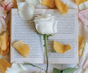 Devotions in Poetry for Beginners